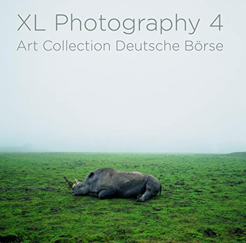 Beispielbild fr XL Photography 4 - Art Collection Deutsche Brse. zum Verkauf von Antiquariat Christoph Wilde