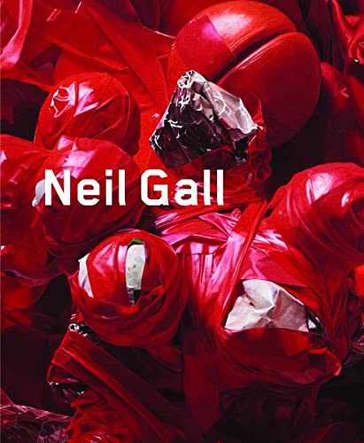 Beispielbild fr Neil Gall: Works 2007-2011 zum Verkauf von Anybook.com