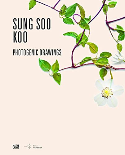 Stock image for Sung Soo Koo: Photogenic Drawings for sale by medimops