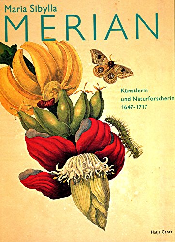 Stock image for Maria Sibylla Merian German Edition Knstlerin und Naturforscherin 16471717 for sale by PBShop.store UK