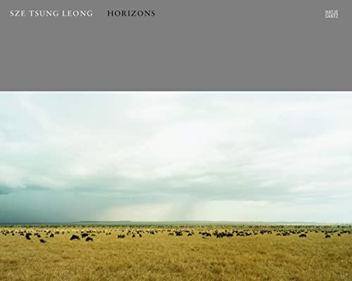 Beispielbild fr Sze Tsung Leong. Horizons. zum Verkauf von Antiquariat & Verlag Jenior