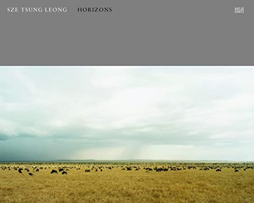 9783775737890: Sze Tsung Leong: Horizons