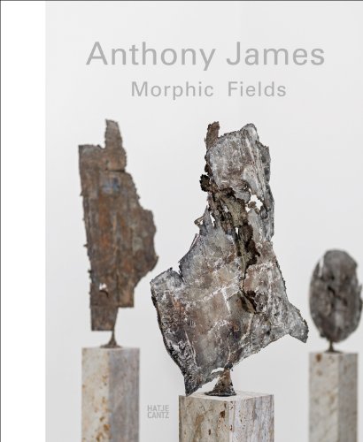 Stock image for Anthony James: Morphic Fields for sale by SecondSale