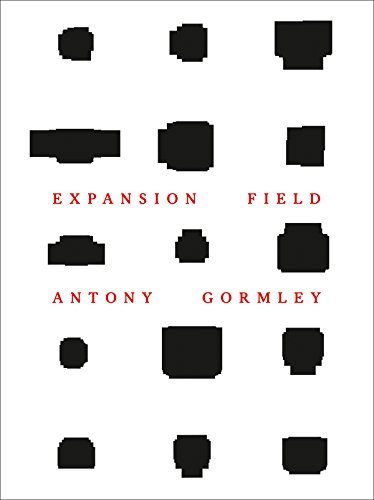 9783775739313: Antony Gormley: Expansion Field