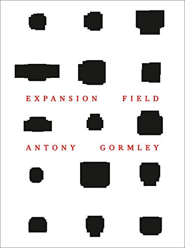 9783775739313: Antony Gormley Expansion Field /anglais/allemand