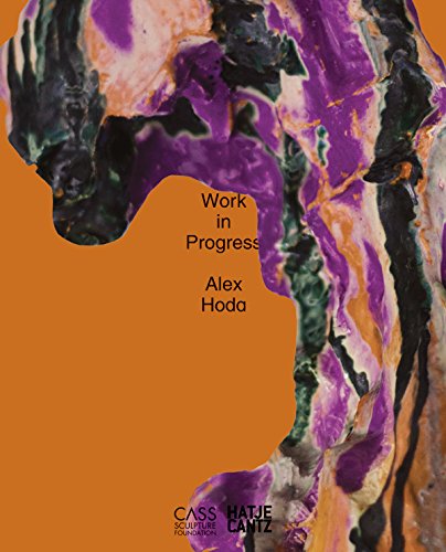 9783775739740: Alex Hoda: Work in Progress