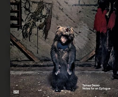 9783775740487: Tamas Dezso: Notes for an Epilogue