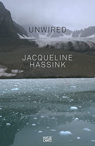 9783775743983: Jacqueline Hassink: Unwired