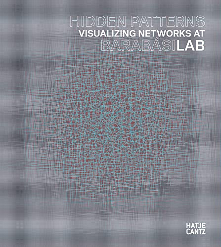 Imagen de archivo de Hidden Patterns: Visualizing Networks at Barabasi Lab a la venta por BooksRun