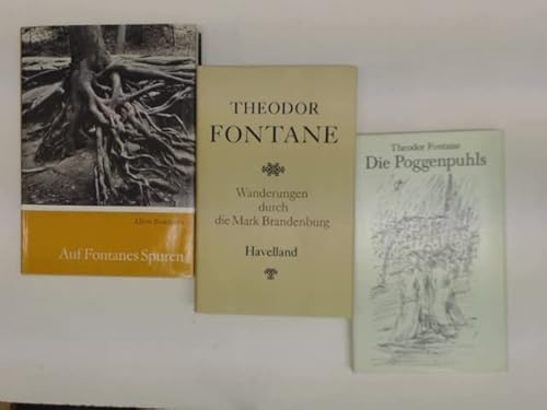 Theodor Fontane (Dichter uÌˆber ihre Dichtungen) (German Edition) (9783776530377) by Fontane, Theodore