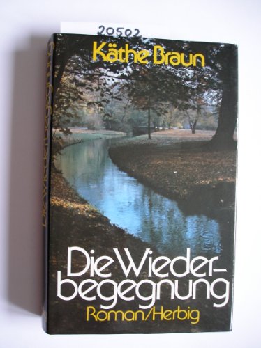 Beispielbild fr Die Wiederbegegnung. Roman. Leinen mit Schutzumschlag zum Verkauf von Deichkieker Bcherkiste