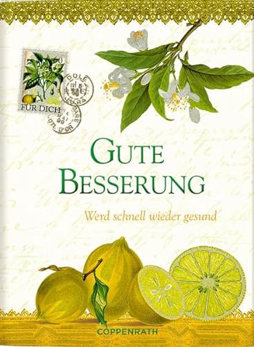 Stock image for Gute Besserung : 25 aufmunternde Geschichten. hrsg. von Brigitte Sinhuber for sale by Antiquariat  Udo Schwrer