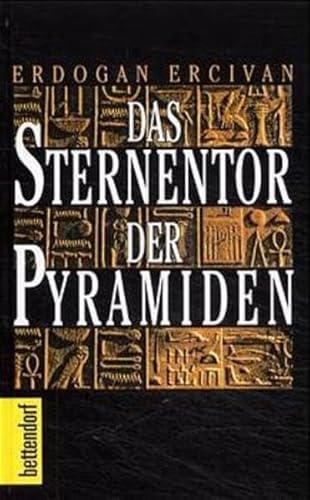 das sternentor der pyramiden. geheime wege in den kosmos