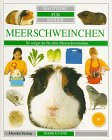 Beispielbild fr Haustiere fr Kinder. Meerschweinchen zum Verkauf von medimops