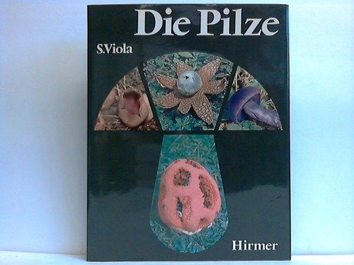 Imagen de archivo de Die Pilze a la venta por KUNSTHAUS-STUTTGART