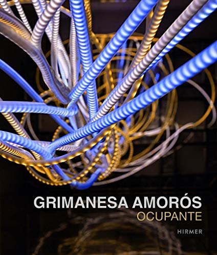 Imagen de archivo de Grimanesa Amor s: Ocupante a la venta por Midtown Scholar Bookstore