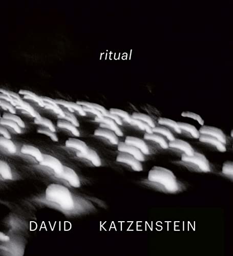 Beispielbild fr David Katzenstein : Ritual zum Verkauf von Better World Books