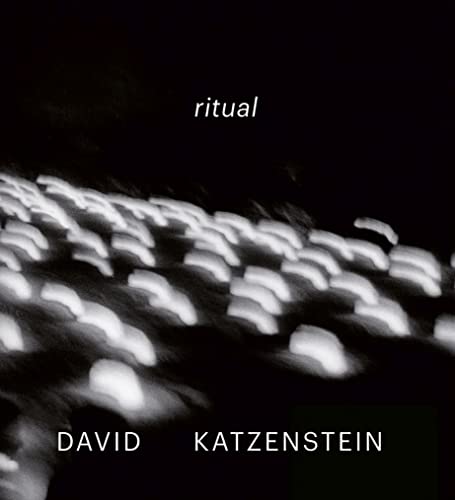 Stock image for David Katzenstein : Ritual for sale by Better World Books