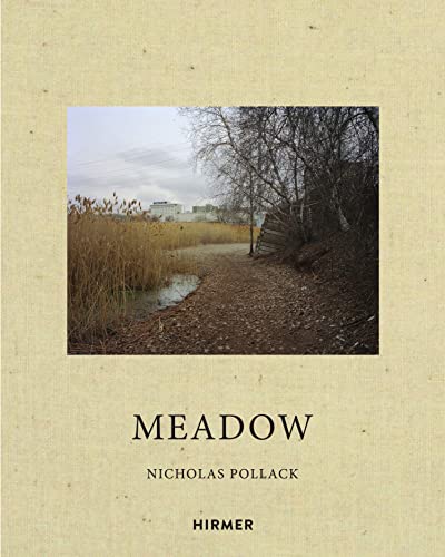 Beispielbild fr Nicholas Pollack: Meadow zum Verkauf von Monster Bookshop