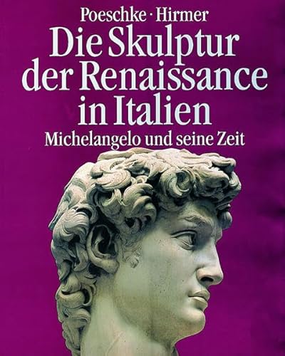 Stock image for Die Skulptur der Renaissance in Italien 1400-1490: Die Skulptur der Renaissance in Italien, in 2 Bdn., Bd.2, Michelangelo und seine Zeit for sale by medimops