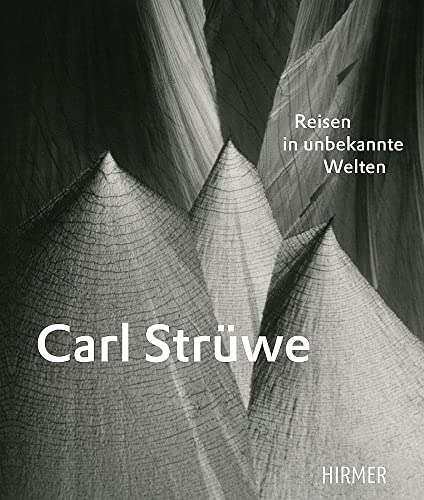 Imagen de archivo de Carl Strwe. Reisen in unbekannte Welten. a la venta por Rotes Antiquariat Wien