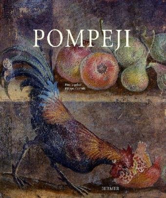 Pompeji [Gebundene Ausgabe] Filippo Coarelli Eva Ambros Pompeji Bildband Vorgeschichte Frühgeschichte Antike Italien Rom Römer Kampanien Neapel Napoli Neaples Campania Italia Beeindruckende Bilder und fachkundige Einblicke in die Geschichte und Kultur Pompejis; dies bietet der vorliegende Band. Es entsteht ein lebendiges, facettenreiches Bild dieser einzigartigen archäologischen Stätte, das durch jüngste Forschungsergebnisse abgerundet wird Wen das echte Pompeji enttäuscht hat, kann sich von diesem Band trösten lassen. [Die Zeit] Ein lebendiges, facettenreiches Bild dieser einzigartigen archäologischen Stätte, das durch jüngste Forschungsergebnisse abgerundet wird. Am 24. und 25. August 79 n. Chr. erschütterte ein verheerender Vulkanausbruch die Region am Golf von Neapel und begrub die Städte am Fuß des Vesuvs unter einer meterdicken Schicht aus Aschen und Bimsstein. Diese Katastrophe begründete den Weltruhm Pompejis, das vor seinem Untergang nur eine von vielen Landstädten Kampaniens - Filippo Coarelli (Herausgeber) Eva Ambros