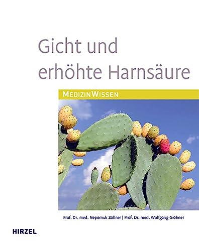 Stock image for Gicht und erhhte Harnsure for sale by medimops