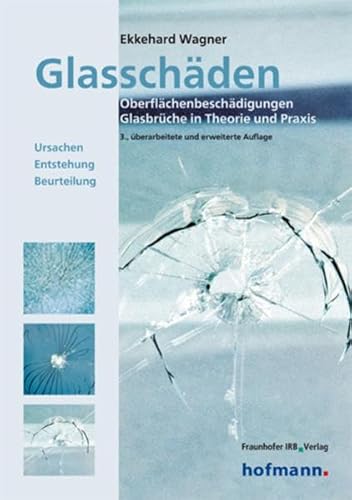 Stock image for Glasschden: Oberflchenbeschdigungen Glasbrche in Theorie und Praxis for sale by medimops