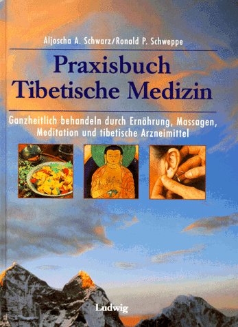 Praxisbuch Tibetische Medizin - Ganzheitlich behandeln durch Ernährung, Massagen, Meditation und ...