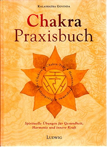 Stock image for Das Chakra-Praxisbuch for sale by medimops