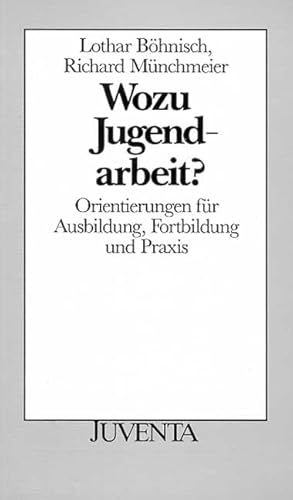 9783779902942: Wozu Jugendarbeit?: Orientierungen fr Ausbildung, Fortbildung und Praxis