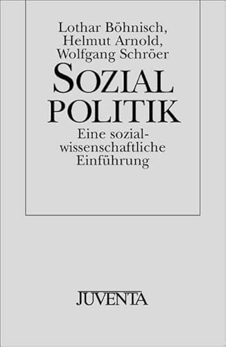 Imagen de archivo de Die Entgrenzung des Sozialen: Sozialpolitik: Eine sozialwissenschaftliche Einfhrung: 1 a la venta por medimops