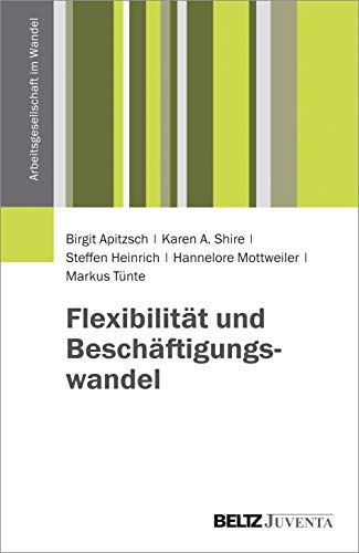 Beispielbild fr Flexibilitt und Beschftigungswandel (Arbeitsgesellschaft im Wandel) zum Verkauf von medimops