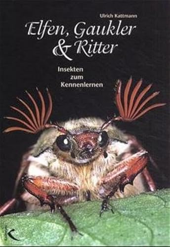 Beispielbild fr Elfen, Gaukler und Ritter. Insekten zum Kennenlernen [Gebundene Ausgabe] Ulrich Kattmann Artenvielfalt Biologie Fauna insektenfhrer Natur kologie Biologie Freilandexkursionen Biologieunterricht Umwelt-Arbeitsgemeinschaften Insects Tiere Tierhaltung Tiergruppen zum Verkauf von BUCHSERVICE / ANTIQUARIAT Lars Lutzer