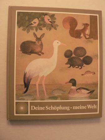 Imagen de archivo de Deine Schpfung - meine Welt a la venta por medimops