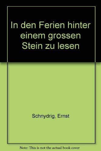 9783782003728: In den Ferien hinter einem grossen Stein zu lesen (German Edition)