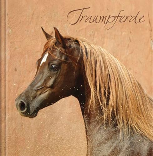Stock image for Traumpferde: Geschenkbuch Mini for sale by medimops