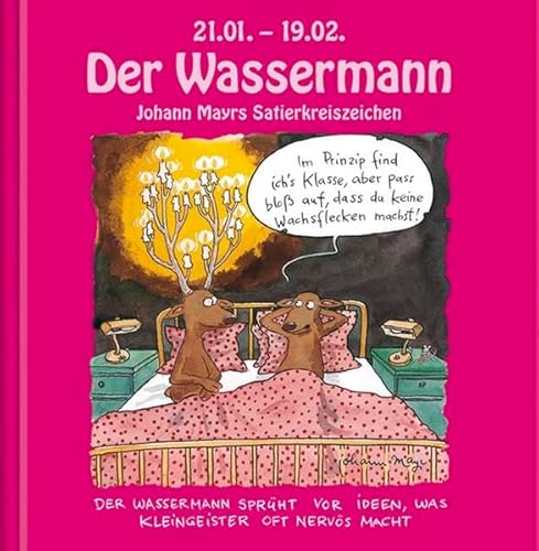 Beispielbild fr Der Wassermann zum Verkauf von medimops