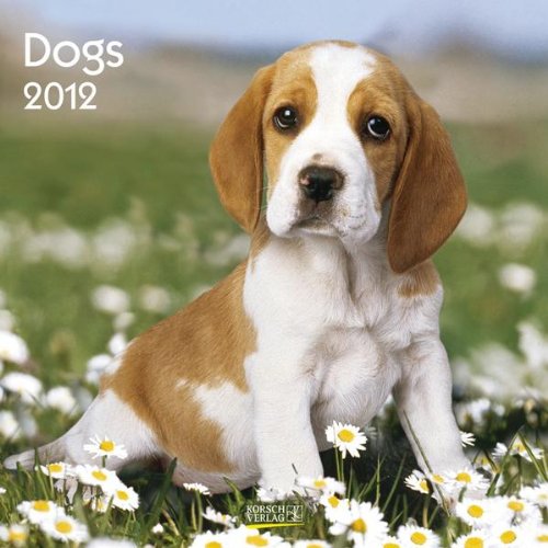 Dogs 2012. Broschürenkalender