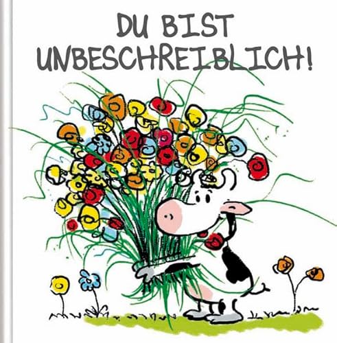 Stock image for Du bist unbeschreiblich!: Cartoon-Geschenkbuch for sale by medimops