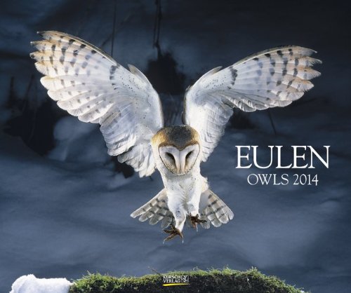 9783782776509: Eulen 2014. PhotoArt Classic Kalender