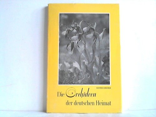 9783782910156: Die Orchideen der deutschen Heimat