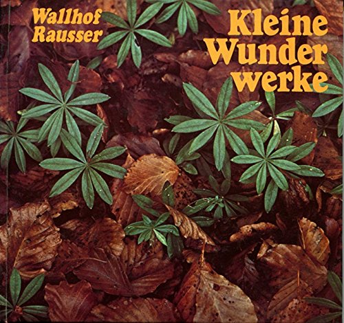 Stock image for Kleine Wunderwerke for sale by Gabis Bcherlager
