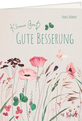 Imagen de archivo de Kleiner Gru - Gute Besserung a la venta por GreatBookPrices