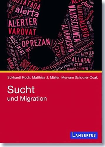 Beispielbild fr Sucht und Migration zum Verkauf von medimops