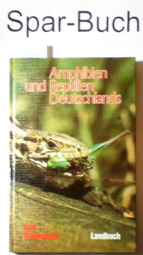 9783784203171: Amphibien und Reptilien Deutschlands