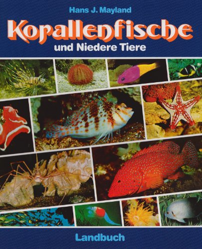 9783784203614: Korallenfische und Niedere Tiere ; 336 367 farb. Fotos, 116 Zeichn.