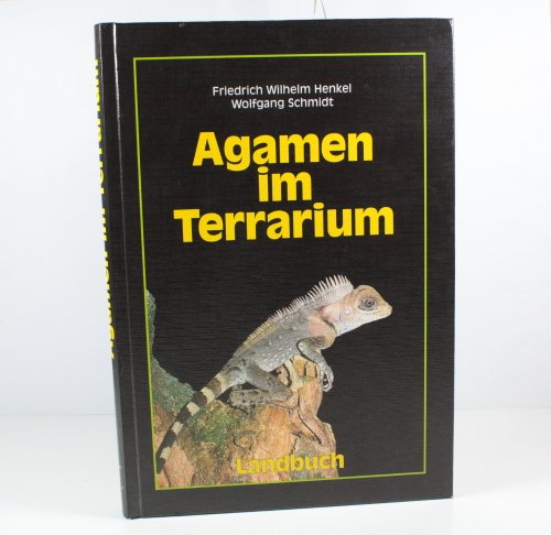 Beispielbild fr Agamen im Terrarium zum Verkauf von medimops
