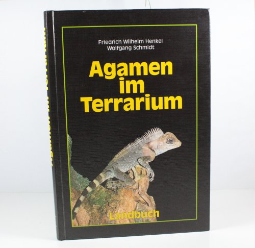 Stock image for Agamen im Terrarium for sale by medimops