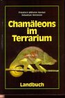 Chamäleons im Terrarium